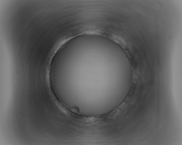 X0000112160098200908211442