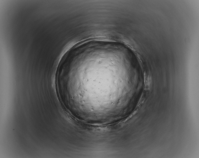 X0000112160099200908211442