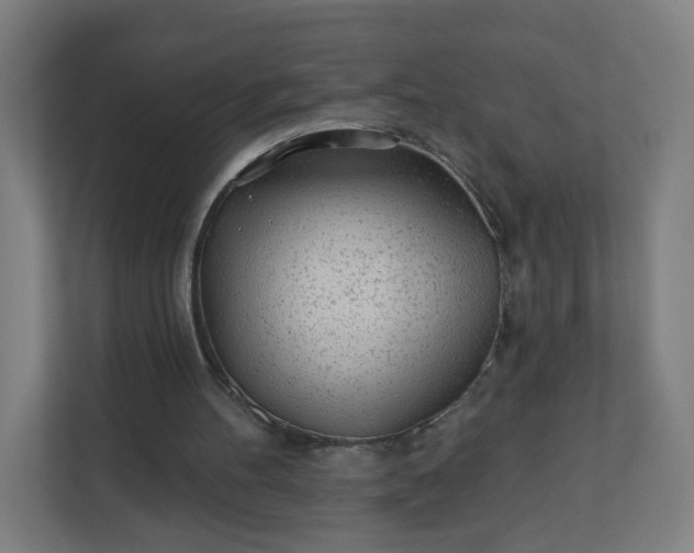 X0000112160100200908211442