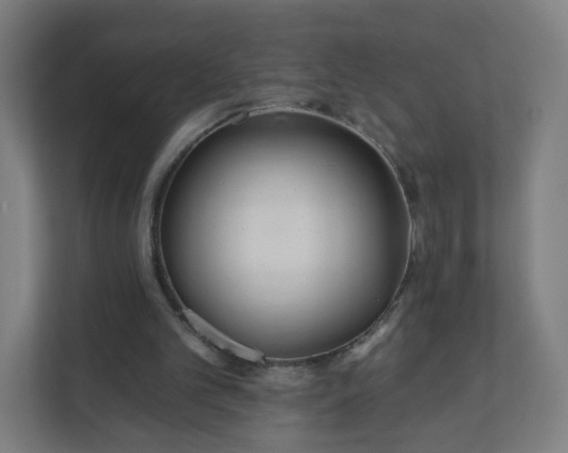 X0000112160101200908211442