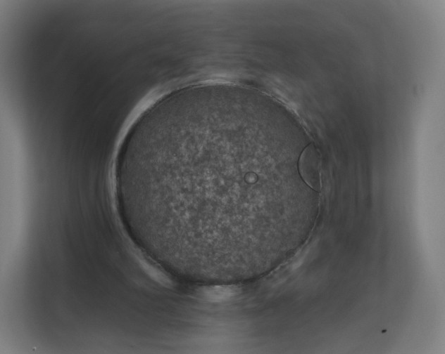 X0000112160102200908211442