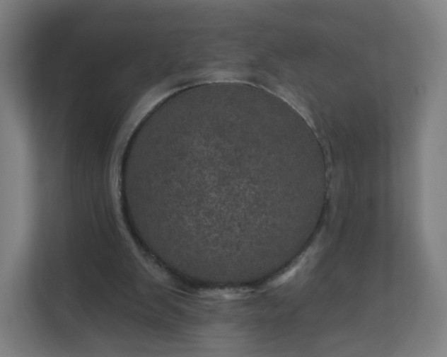 X0000112160103200908211442