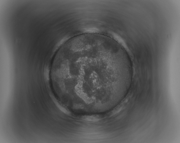 X0000112160106200908211442