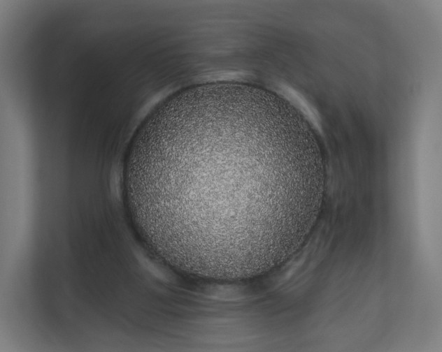 X0000112160107200908211442