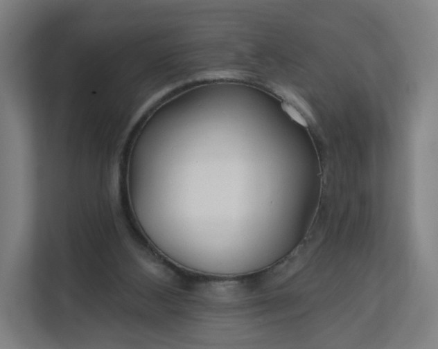 X0000112160108200908211442