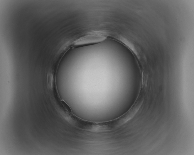 X0000112160109200908211442