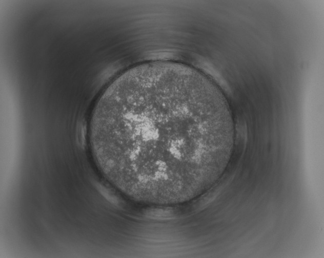 X0000112160110200908211442