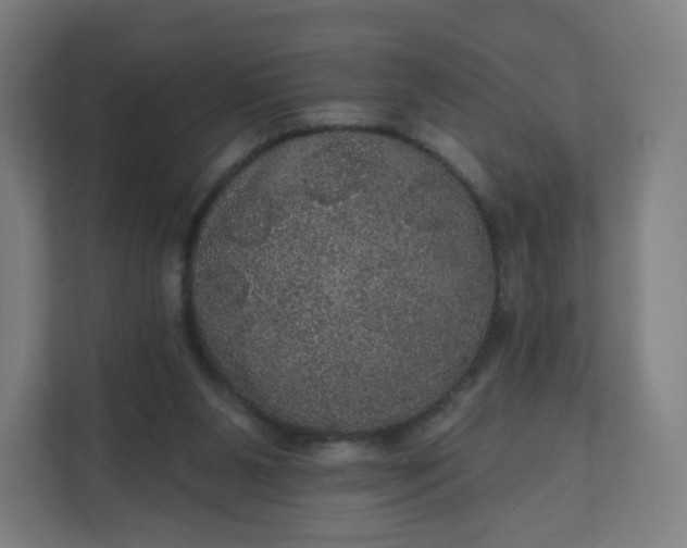 X0000112160111200908211442