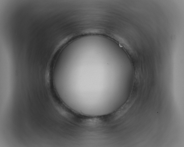 X0000112160112200908211442