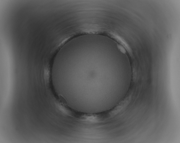 X0000112160113200908211442