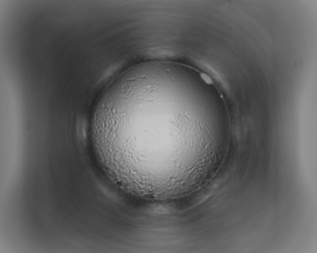 X0000112160115200908211442