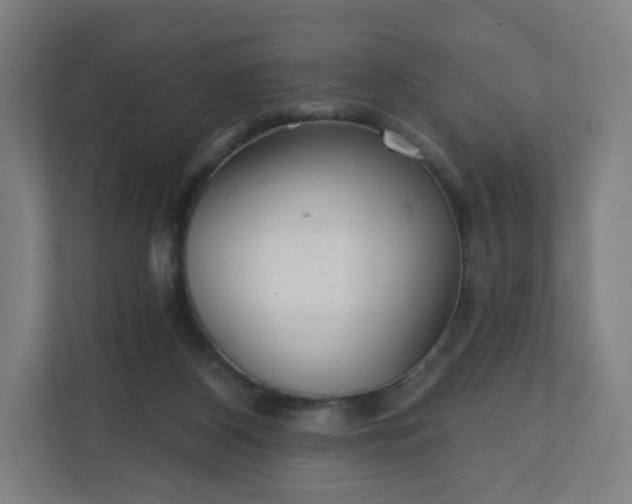 X0000112160116200908211442