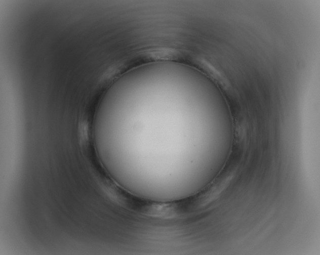 X0000112160117200908211442