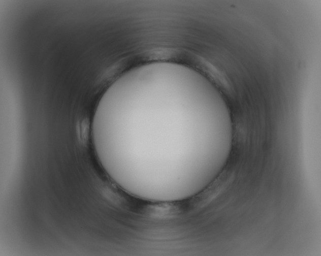 X0000112160118200908211442