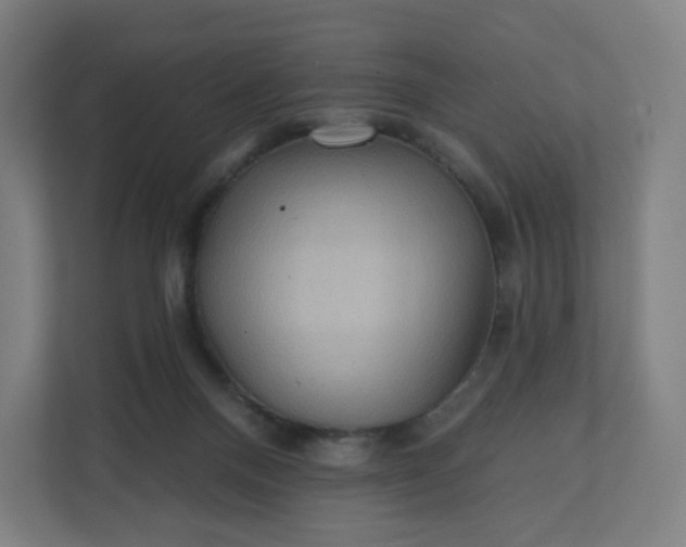 X0000112160120200908211442