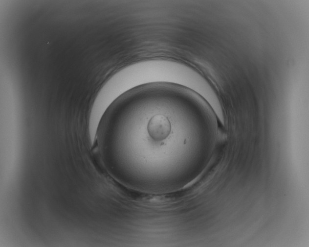 X0000112160121200908211442