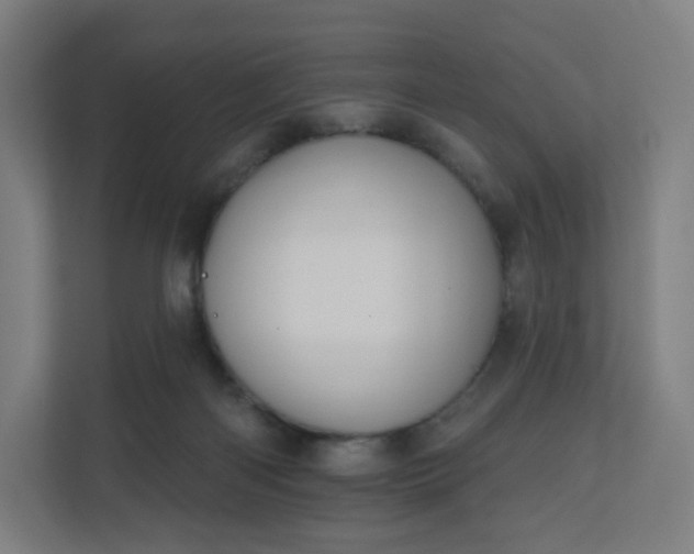 X0000112160122200908211442