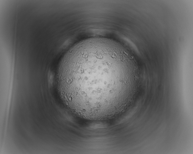 X0000112160123200908211442