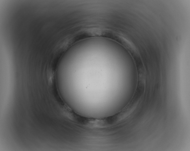 X0000112160125200908211442