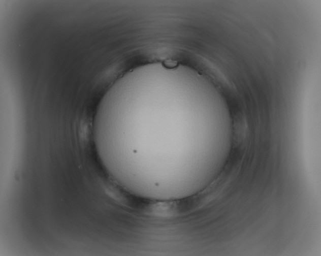 X0000112160126200908211442