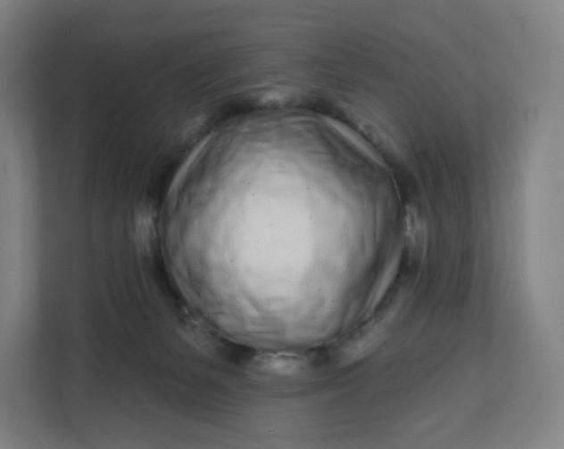 X0000112160127200908211442