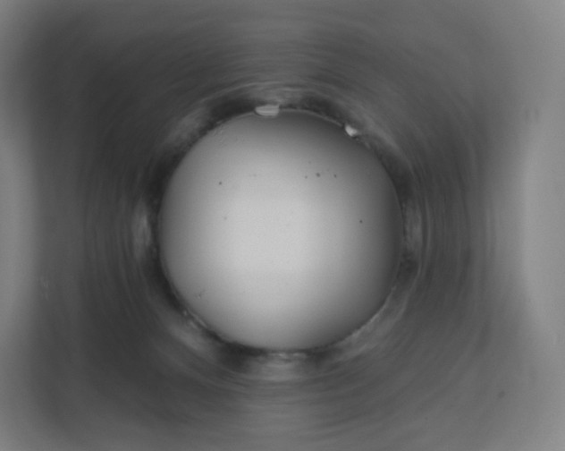 X0000112160128200908211442