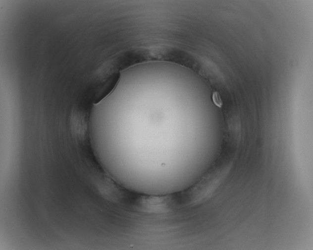 X0000112160129200908211442