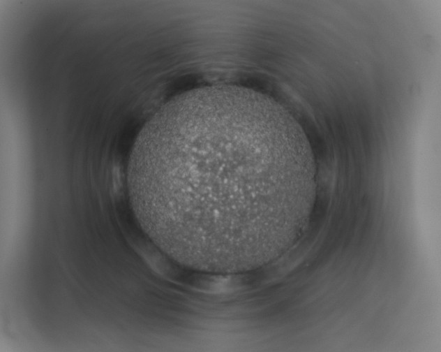 X0000112160130200908211442