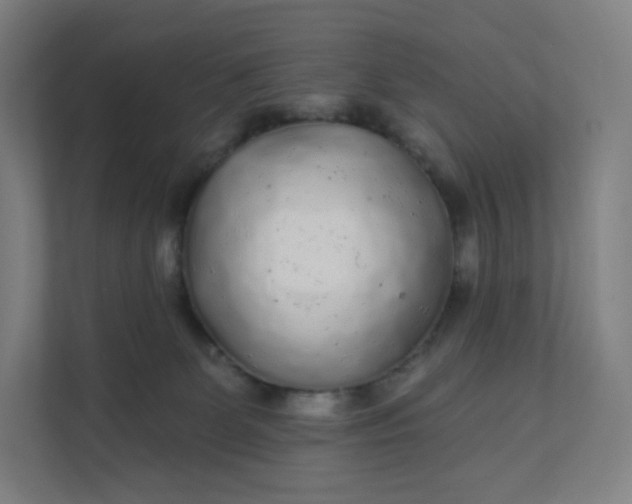 X0000112160131200908211442