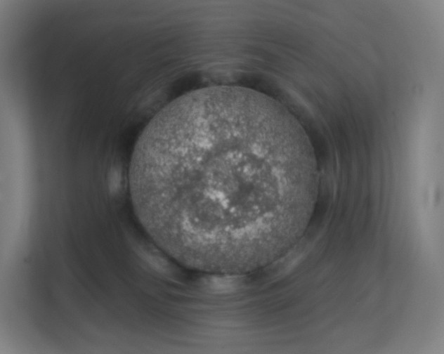 X0000112160134200908211442