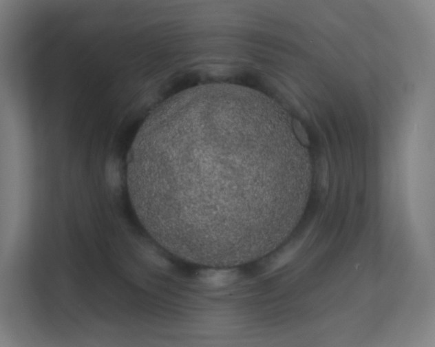 X0000112160135200908211442