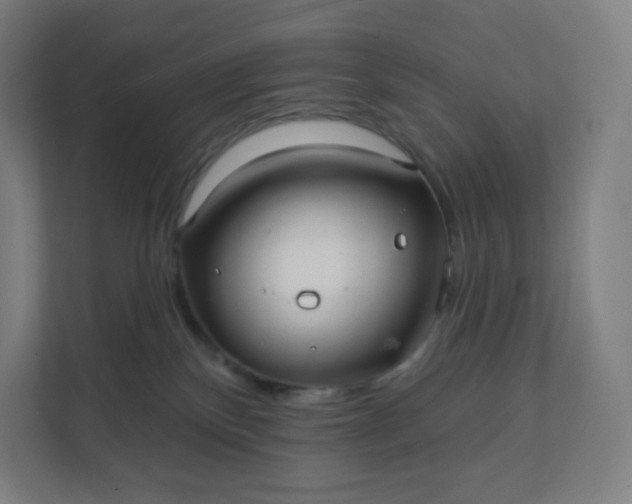 X0000112160136200908211442