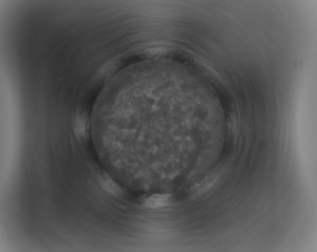 X0000112160138200908211442