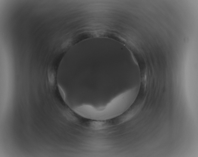 X0000112160139200908211442