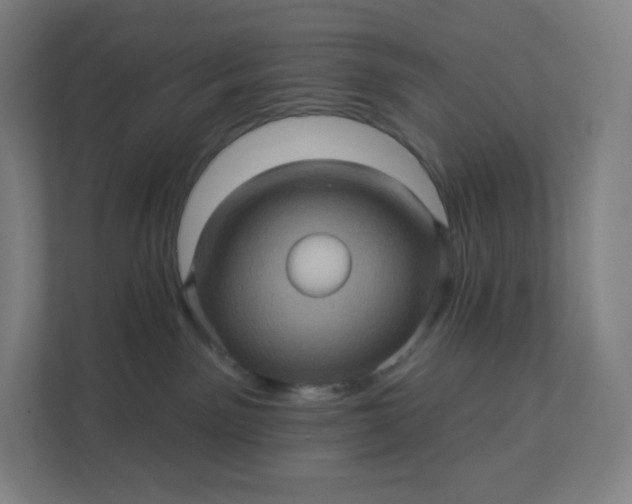 X0000112160141200908211442