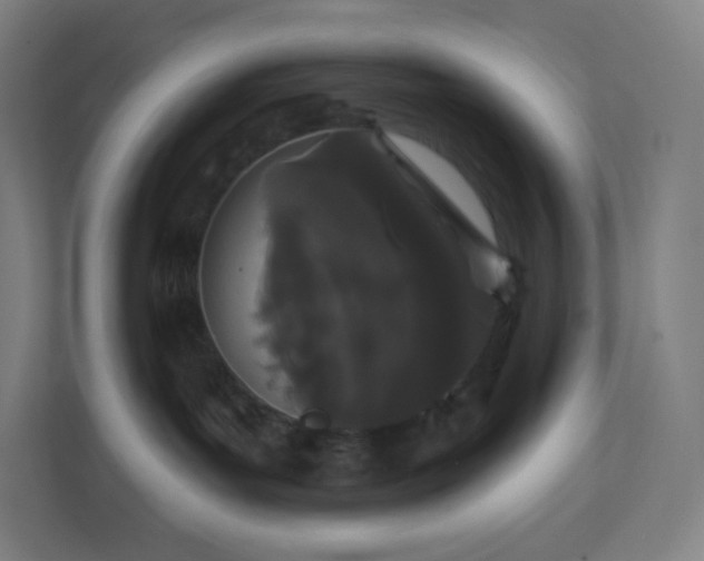 X0000112160143200908211442