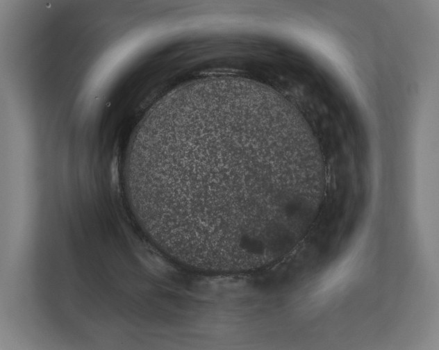 X0000112160146200908211441