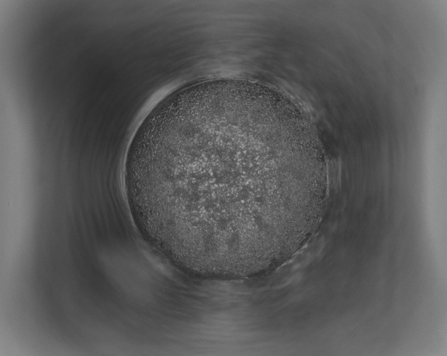 X0000112160147200908211441