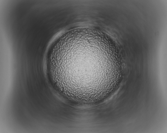 X0000112160149200908211441