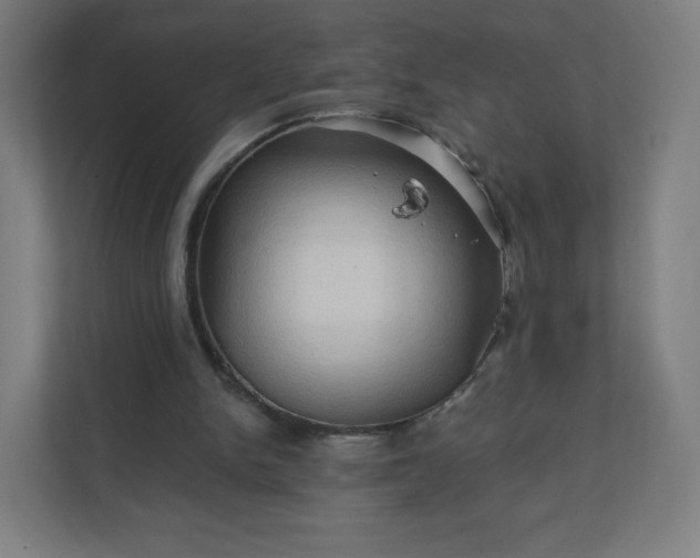 X0000112160150200908211441