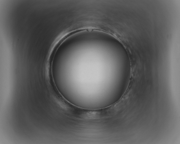 X0000112160152200908211441