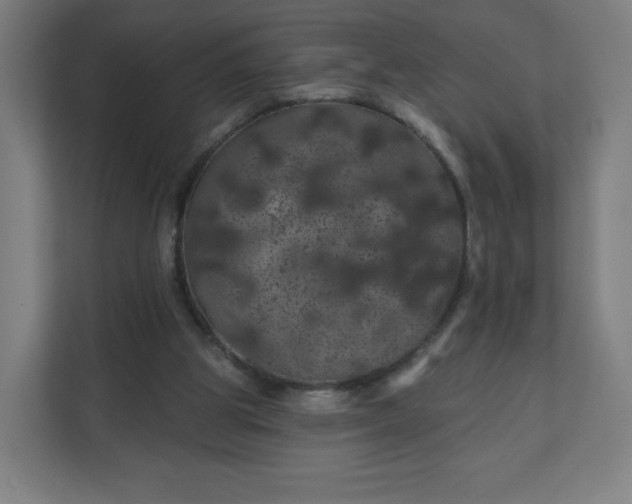 X0000112160153200908211441