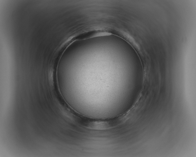 X0000112160154200908211441