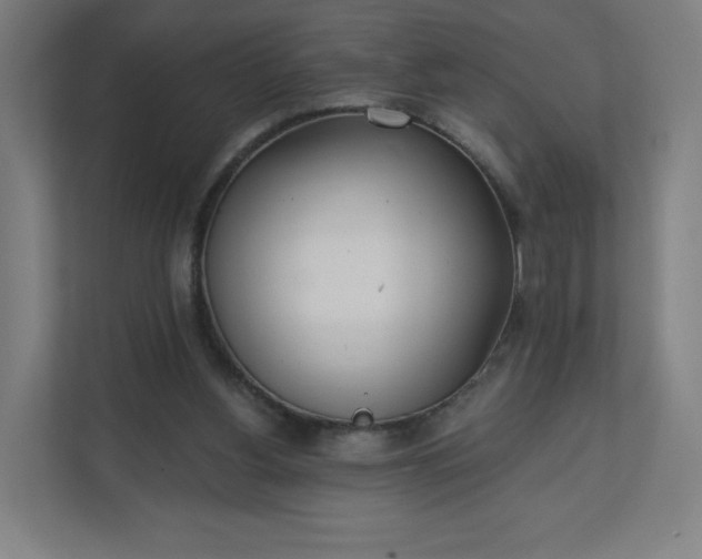 X0000112160156200908211441