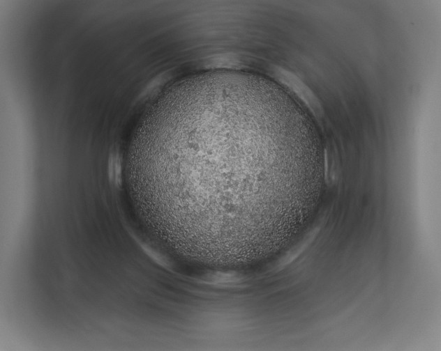 X0000112160157200908211441