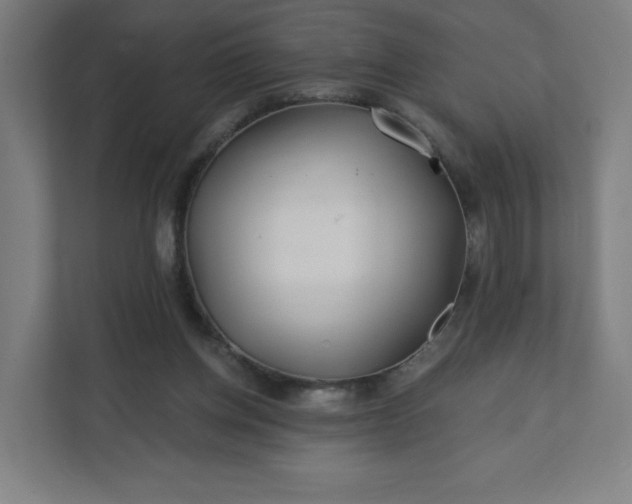 X0000112160158200908211441