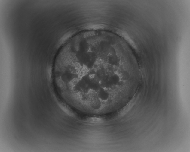 X0000112160159200908211441