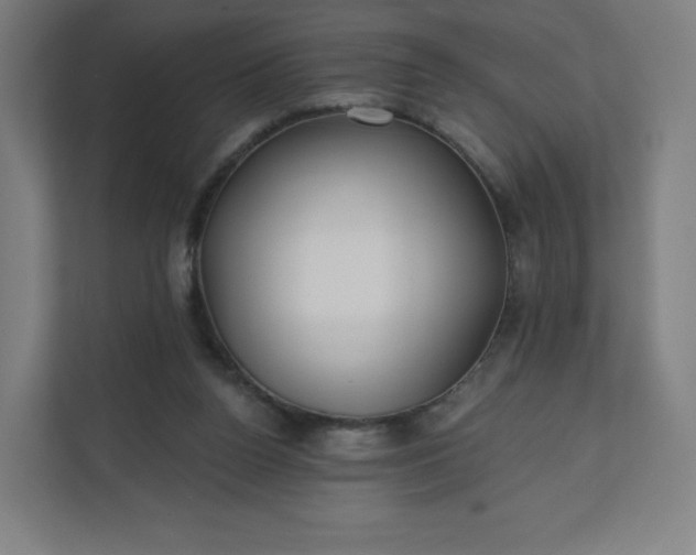 X0000112160160200908211441