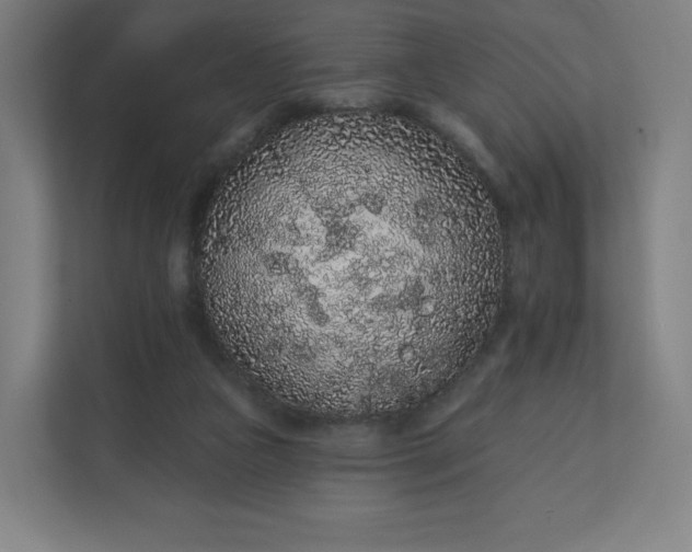 X0000112160161200908211441