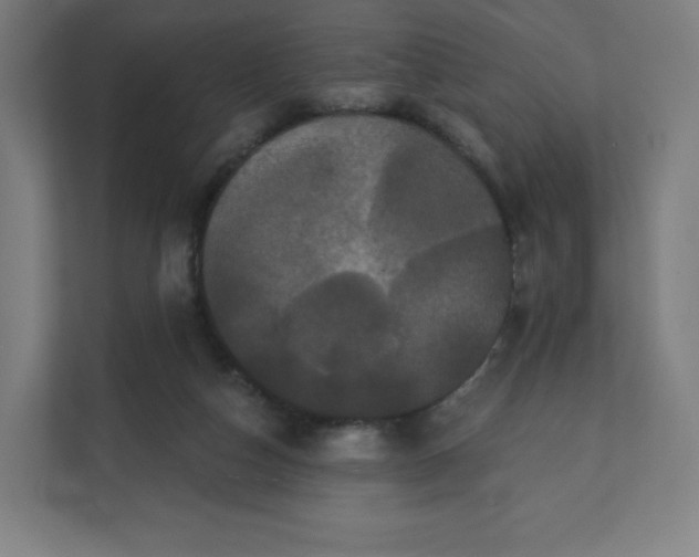 X0000112160162200908211441